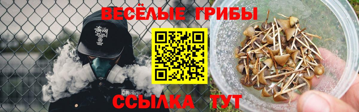 Галлюциногенные грибы MAGIC MUSHROOMS  Вход с VPN  Радужный  Галлюциногенные грибы мицелий 