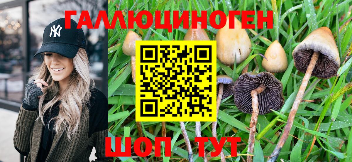 Галлюциногенные грибы MAGIC MUSHROOMS Радужный